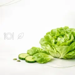Świeża sałata, ogórek i pestki dyni. Odkryj zdrowe sałata właściwości i ciesz się lekkością posiłku.