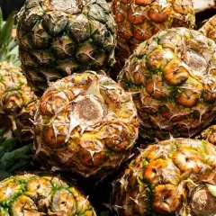 Ile kalorii ma ananas świeży? Poznaj wartość odżywczą owocu