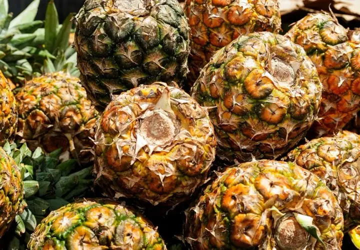 Ile kalorii ma ananas świeży? Poznaj wartość odżywczą owocu