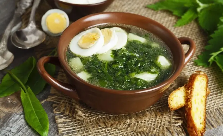 Ile kalorii ma zupa szczawiowa? Sprawdź wartość odżywczą i wpływ na dietę
