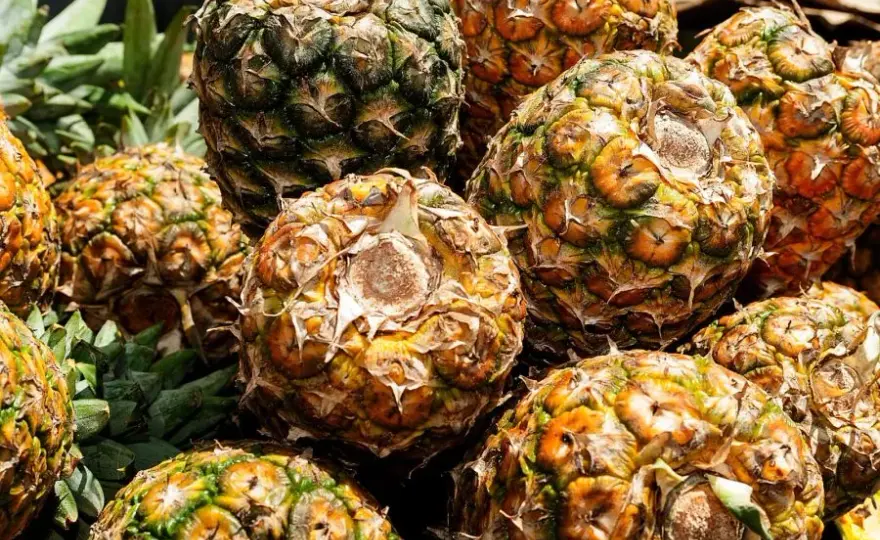 Ile kalorii ma ananas świeży? Poznaj wartość odżywczą owocu